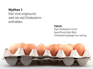 Eier in Eierschachteln.