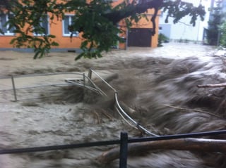 Wasser, Gehölz und Geröll schieben ein Geländer beiseite.