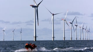 Offshore-Park vor der dänischen Nordseeküeste. Dänemark holt über einen Drittel der Energie aus Wind.