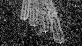 Flugzeuge versprühen weissen Nebel über einem Urwald-Gebiet (Schwarzweiss-Aufnahme)