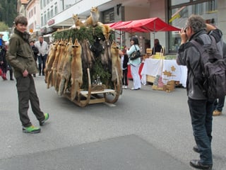 Schlitten mit Aufsatz, vollgehängt mit Fuchsfellen. 