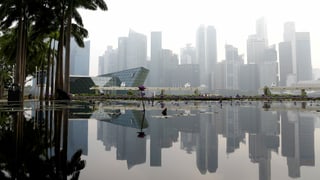 Die Skyline von Singapur spiegelt sich im See.