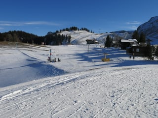 Klewenalp im Winter mit grünen Hängen. 
