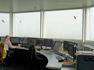 Heinz Graf arbeitet an einem Computer. Heinz Graf arbeitet an einem Computer.