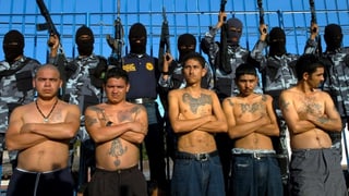 Vorne mutmassliche Gangmitglieder ohne Shirts, mit Tattoos, hinten vermummte Polizisten. Vorne mutmassliche Gangmitglieder ohne Shirts, mit Tattoos, hinten vermummte Polizisten.