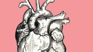 The Heart
