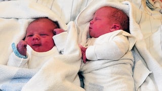 Zwei Neugeborene liegen in einem Spitalbett. Eins ist wach, das andere schlummert. 
