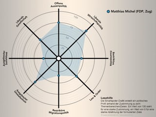 Das politische Profil von Matthias Michel grafisch dargestellt.