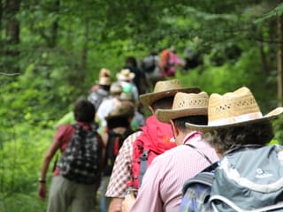 Blick von hinten auf die Wandergruppe, die auf einem Waldweg unterwegs ist.