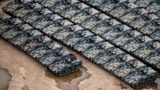 Mehrere Reihen von Panzern aus der Vogelperspektive.