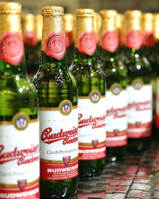 Aufgereihte Budweiser-Bierflaschen. Aufgereihte Budweiser-Bierflaschen.