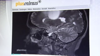 Screenshot des Online-Auftritts von Plusminus.