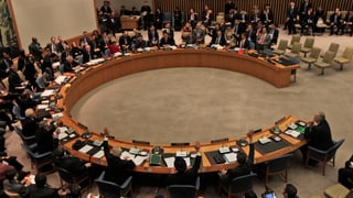 Der UNO-Sicherheitsrat. 
