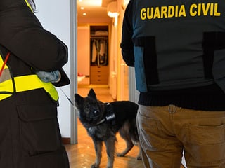 Hausdurchsuchung in Spanien bei der Operation «Opson II». Hausdurchsuchung in Spanien bei der Operation «Opson II».