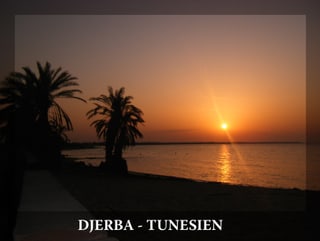 Die Lotophagen: Djerba (Tunesien)