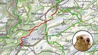 Kartenausschnitt Ruine Spiegelberg