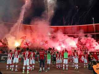 Fans, Spieler