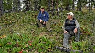 Putin und Schoigu sitzen auf dem Waldboden.