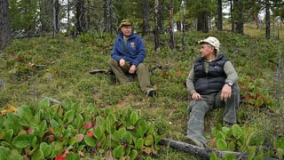 Putin und Schoigu sitzen auf dem Waldboden. Putin und Schoigu sitzen auf dem Waldboden.