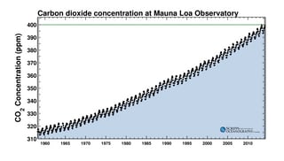Ein Grafik bildet die jährliche Schwankungen von CO2 ab