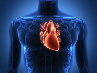 Röntgenbild mit Fokus auf dem Herzen.