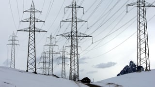 Stromleitungen und -masten in winterlicher Landschaft.