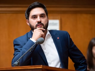 Cédric Wermuht im Parlament am Mikrofon