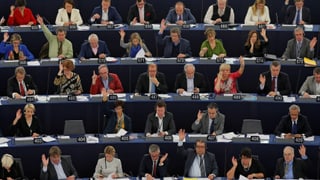 Mitglieder des Europäischen Parlaments in Strassburg.