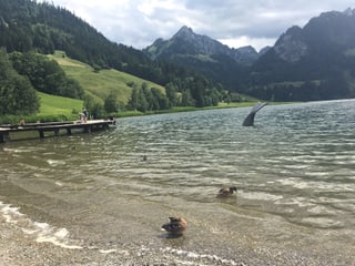 Blick über einen See, dahinter hohe Berge.