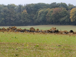 Trümmerfeld auf einer Wiese. 