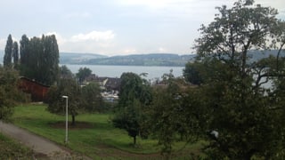 Blick auf den Hallwilersee