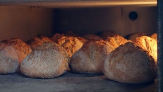 Dinkelbrot vom Mooshof im Ofen Dinkelbrot vom Mooshof im Ofen