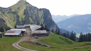 Häuser und Ställe auf einer Alp. Häuser und Ställe auf einer Alp.