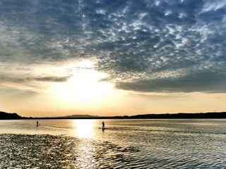 Stehpaddler auf dem Murtensee