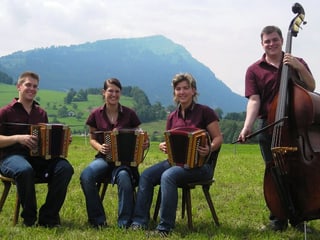 Ein Musikant und zwei Musikantinnen spielen Schwyzerörgeli, ein Musikant spielt Kontrabass. Die Formation sitzt auf einer grünen Wiese vor der Rigi.