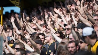 Fans an einem YB-Spiel.
