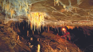 Ein Höhlenforscher erkundet eine Höhle mit Stalaktiten.