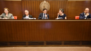 Stadtrat Bazzarone auf einem Podium umgeben von Referenten an einer Medienkonferenz im Jahr 2016.