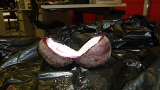 Eine geöffnete, mit Kokain gefüllte Melone.