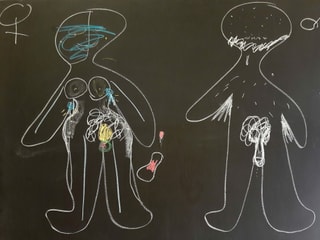 Zwei Kreidefiguren auf einer Wandttafel: Eine Frau mit Brüsten und Vulva, ein Mann mit Bart und Penis.