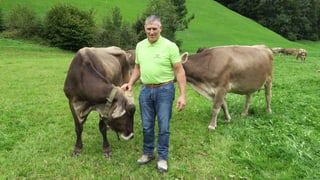 Walter Durrer hält eine Kuh am Halsband Walter Durrer hält eine Kuh am Halsband