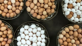 Verschiedene Töpfe sind gefüllt mit braunen und weissen Eiern.