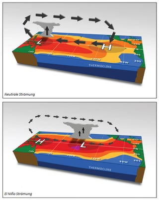 Die zwei Bilder beschreiben die Druck-, Temperatur-, Wind- und Niederschlagsverhältnisse während neutralen und El Niño Phasen. Besonders deutlich: die grössten Gewittertürme stehen nun über dem Zentralpazifik und nicht mehr über Indonesien. Die zwei Bilder beschreiben die Druck-, Temperatur-, Wind- und Niederschlagsverhältnisse während neutralen und El Niño Phasen. Besonders deutlich: die grössten Gewittertürme stehen nun über dem Zentralpazifik und nicht mehr über Indonesien.