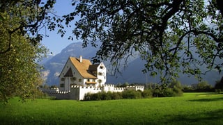 Schloss am See mit Bergen im Hintergrund.