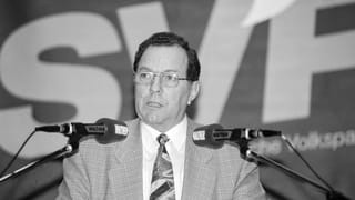 Uhlmann 1995 Uhlmann 1995