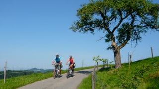Zwei Elektrovelo-Fahrer radeln durch die Landschaft.