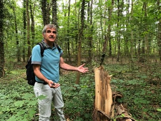 Ueli Meier steht neben einem toten Baum.