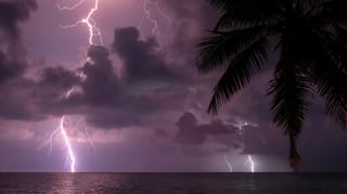 Violett erleuchtete Nacht mit 2 Blitzen, ein paar Wolken, dem schimmerndem Meer und im Vordergrund Palmenblättern.