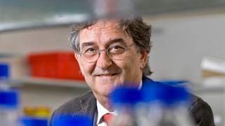 Pro: Beda Stadler