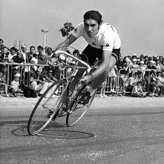 Eddy Merckx dominierte die Tour de France ab 1969 nach Belieben.